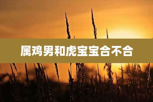 属鸡男和虎宝宝合不合