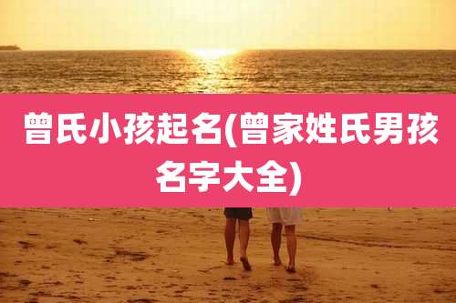 曾氏小孩起名(曾家姓氏男孩名字大全)