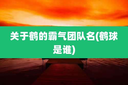 关于鹤的霸气团队名(鹤球是谁)