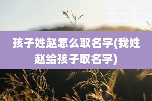 孩子姓赵怎么取名字(我姓赵给孩子取名字)