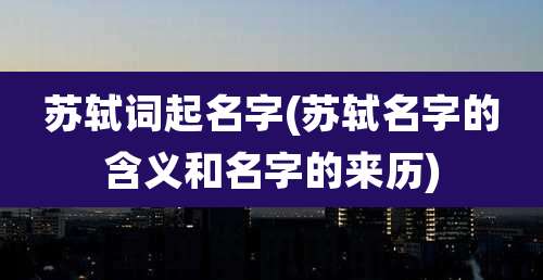 苏轼词起名字(苏轼名字的含义和名字的来历)