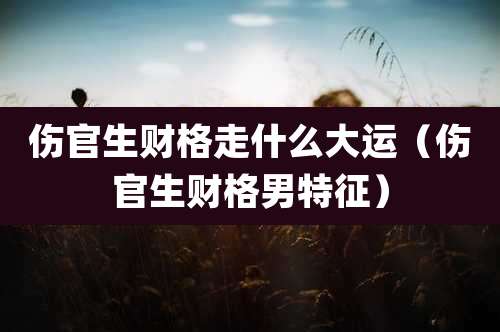 伤官生财格走什么大运(伤官生财格男特征)