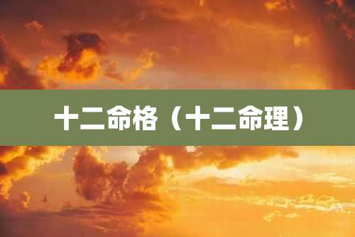 十二命格(十二命理)