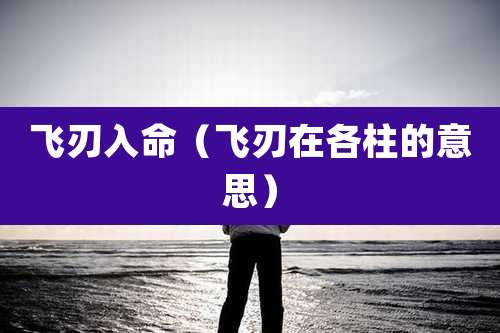 飞刃入命（飞刃在各柱的意思）