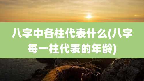 八字中各柱代表什么(八字每一柱代表的年龄)