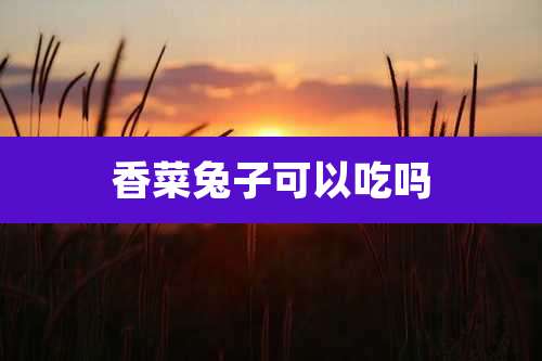 香菜兔子可以吃吗