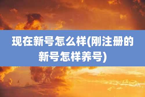 现在新号怎么样(刚注册的新号怎样养号)