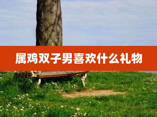 属鸡双子男喜欢什么礼物