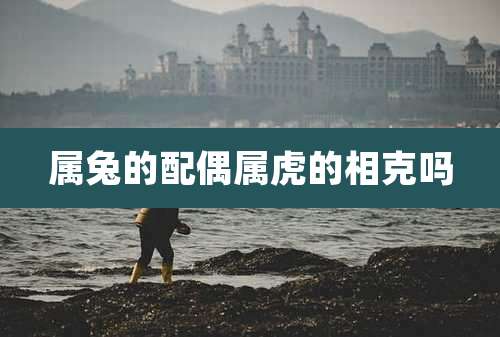 属兔的配偶属虎的相克吗