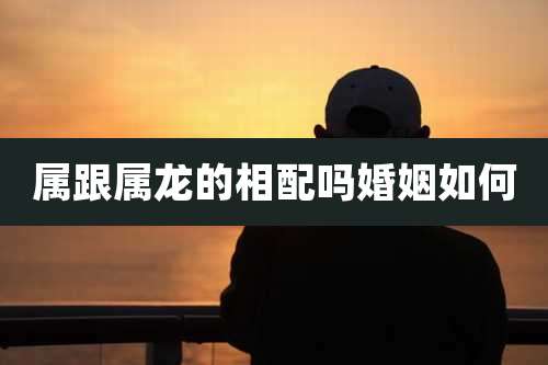 属跟属龙的相配吗婚姻如何