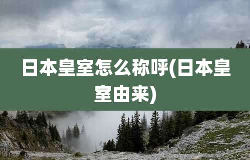 日本皇室怎么称呼(日本皇室由来)