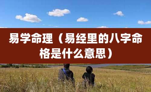 易学命理（易经里的八字命格是什么意思）