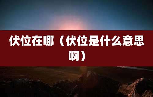 伏位在哪(伏位是什么意思啊)