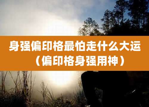 身强偏印格最怕走什么大运（偏印格身强用神）