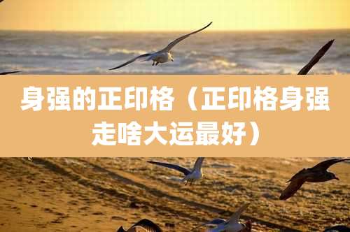 身强的正印格（正印格身强走啥大运最好）