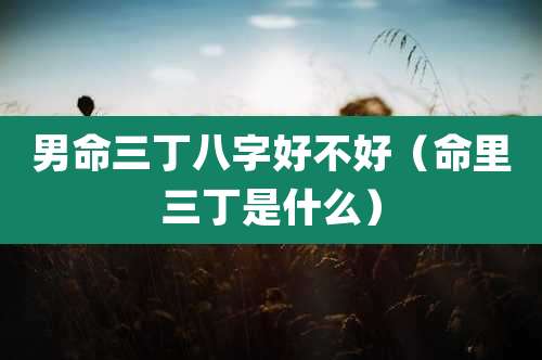 男命三丁八字好不好(命里三丁是什么)