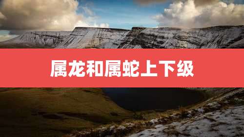 属龙和属蛇上下级