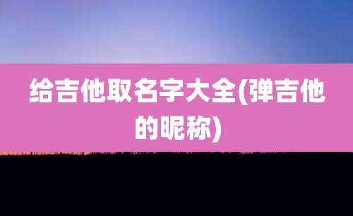 给吉他取名字大全(弹吉他的昵称)