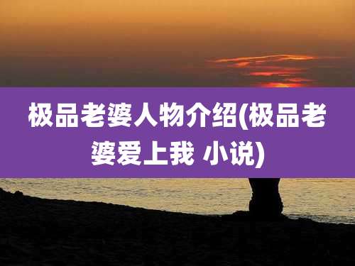 极品老婆人物介绍(极品老婆爱上我 小说)