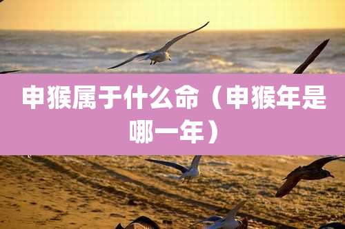 申猴属于什么命（申猴年是哪一年）