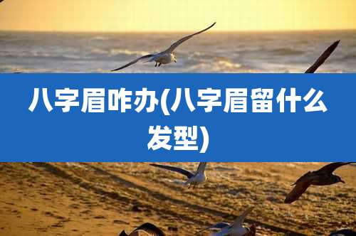 八字眉咋办(八字眉留什么发型)