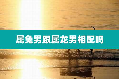 属兔男跟属龙男相配吗