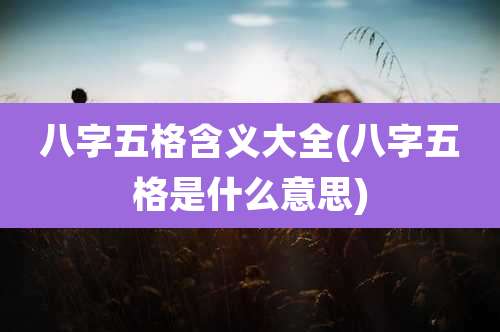 八字五格含义大全(八字五格是什么意思)