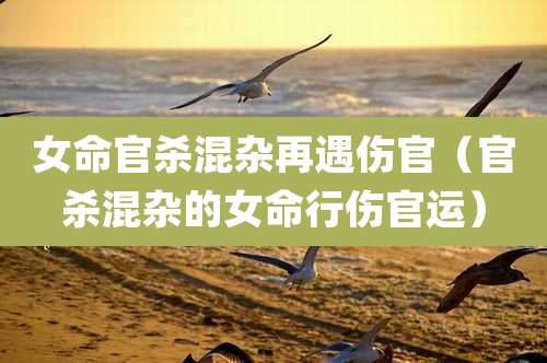 女命官杀混杂再遇伤官（官杀混杂的女命行伤官运）