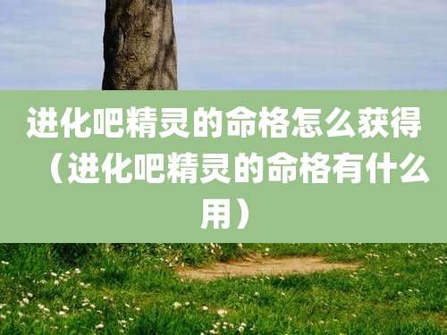 进化吧精灵的命格怎么获得(进化吧精灵的命格有什么用)