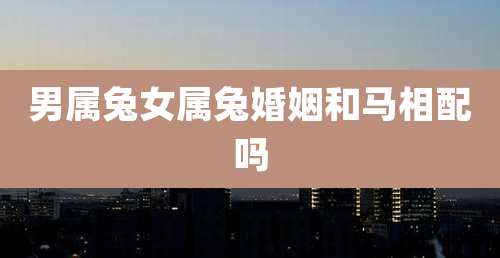 男属兔女属兔婚姻和马相配吗