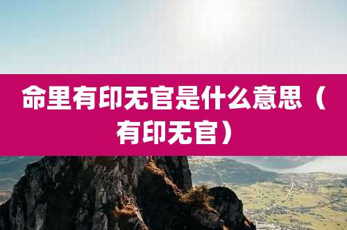 命里有印无官是什么意思（有印无官）