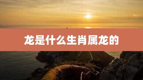 龙是什么生肖属龙的