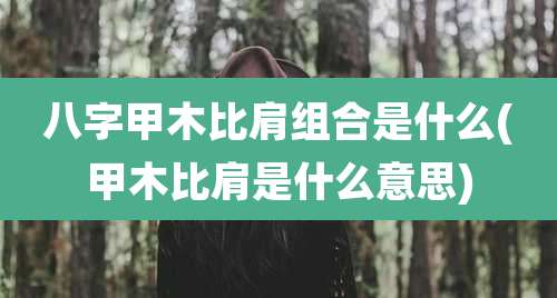 八字甲木比肩组合是什么(甲木比肩是什么意思)