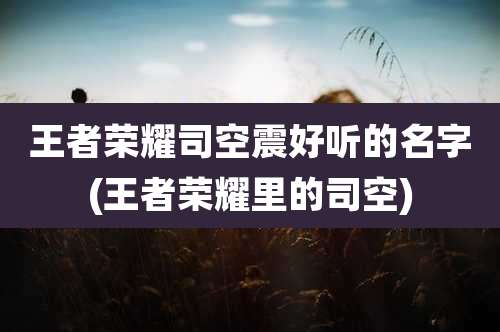 王者荣耀司空震好听的名字(王者荣耀里的司空)