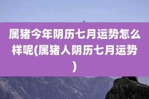 属猪今年阴历七月运势怎么样呢(属猪人阴历七月运势)