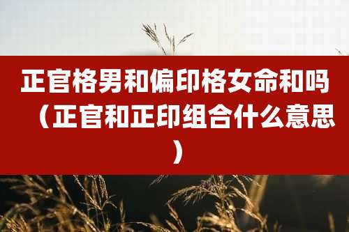 正官格男和偏印格女命和吗（正官和正印组合什么意思）