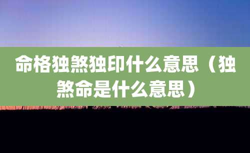 命格独煞独印什么意思（独煞命是什么意思）