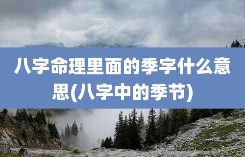 八字命理里面的季字什么意思(八字中的季节)