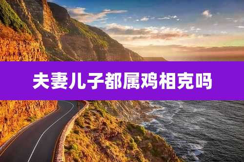 夫妻儿子都属鸡相克吗