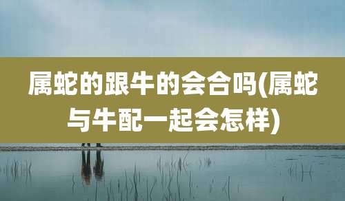 属蛇的跟牛的会合吗(属蛇与牛配一起会怎样)