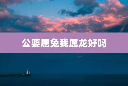 公婆属兔我属龙好吗