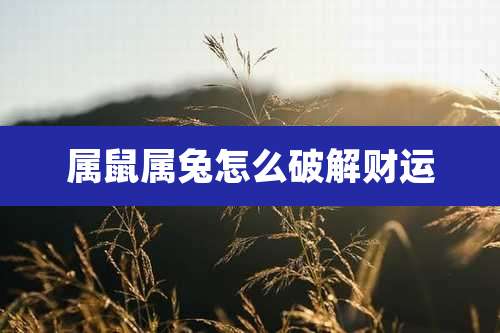 属鼠属兔怎么破解财运