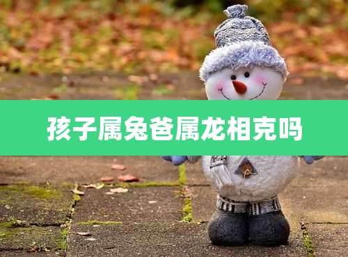 孩子属兔爸属龙相克吗