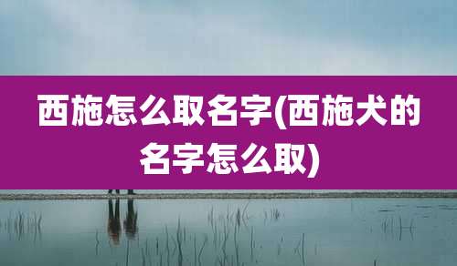 西施怎么取名字(西施犬的名字怎么取)