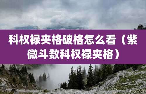 科权禄夹格破格怎么看（紫微斗数科权禄夹格）