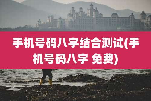 手机号码八字结合测试(手机号码八字 免费)