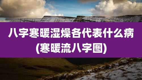 八字寒暖湿燥各代表什么病(寒暖流八字图)