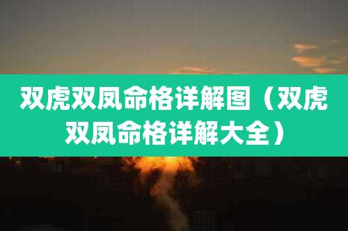 双虎双凤命格详解图(双虎双凤命格详解大全)
