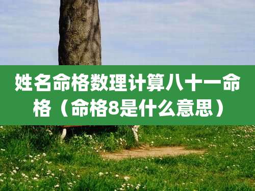 姓名命格数理计算八十一命格（命格8是什么意思）