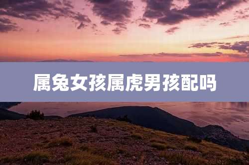 属兔女孩属虎男孩配吗